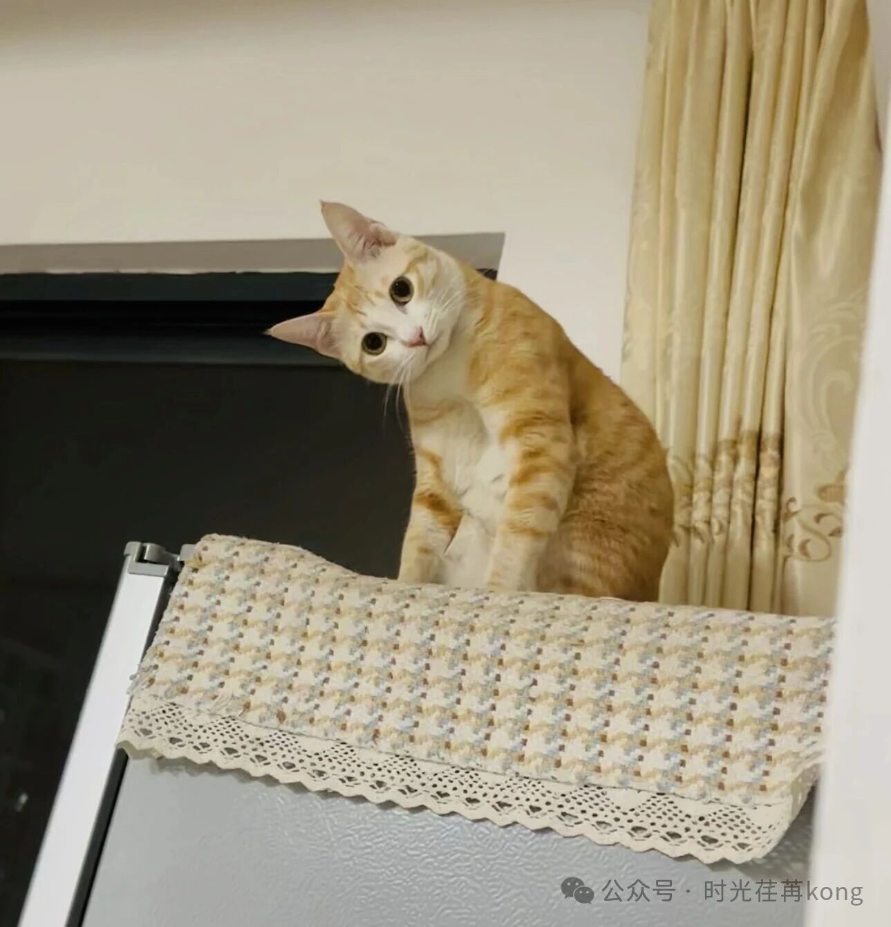 歪头杀可爱死了😘