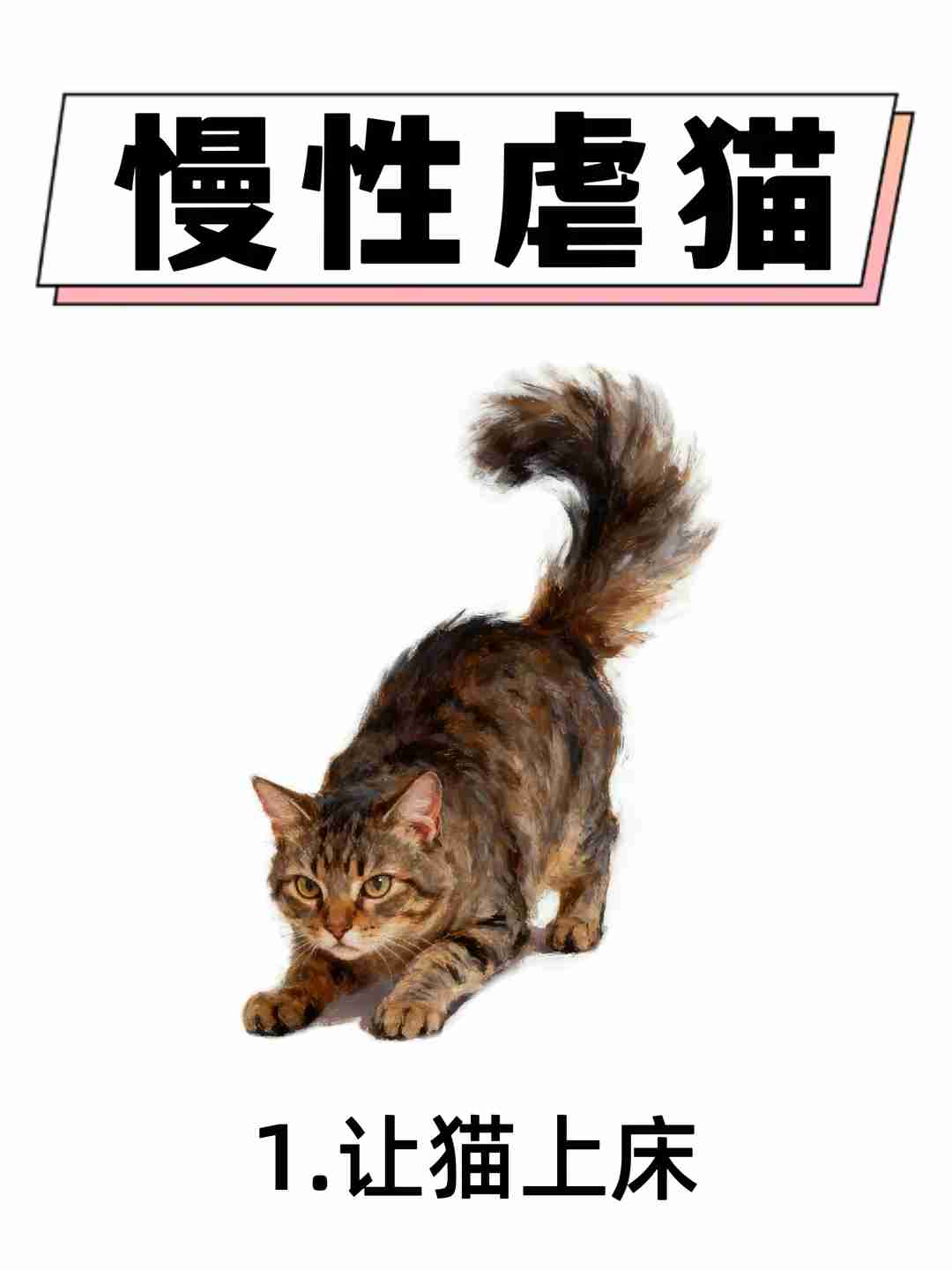 新手养猫避雷行为