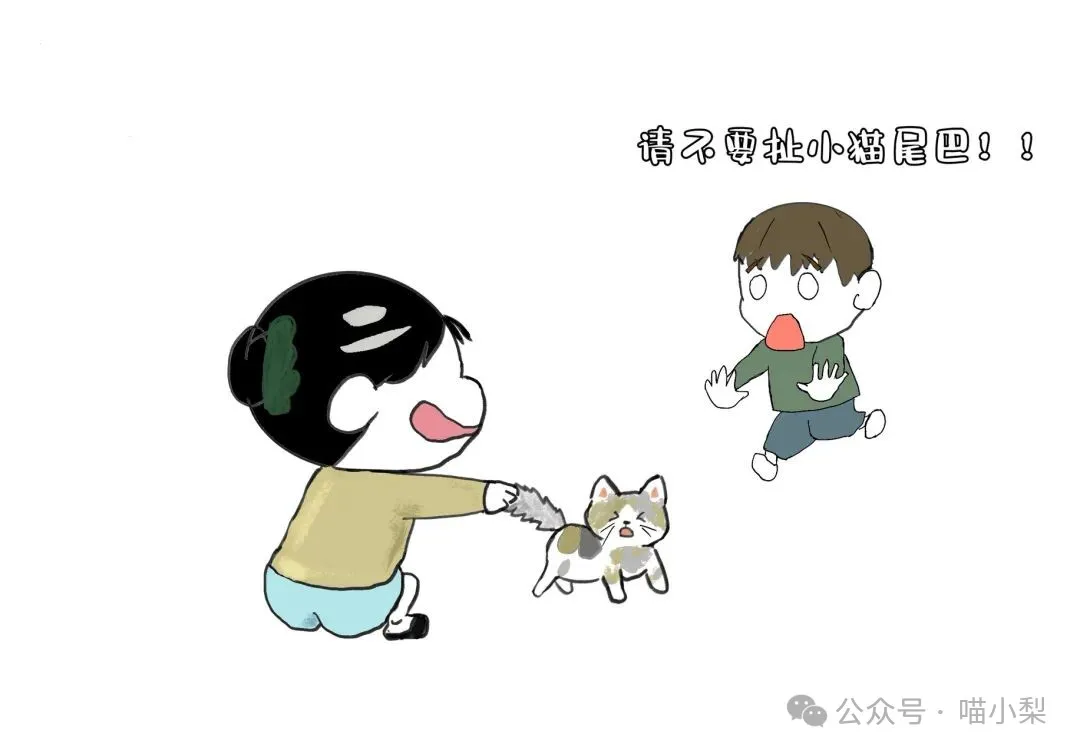 摸这里，小猫真的会生气哦