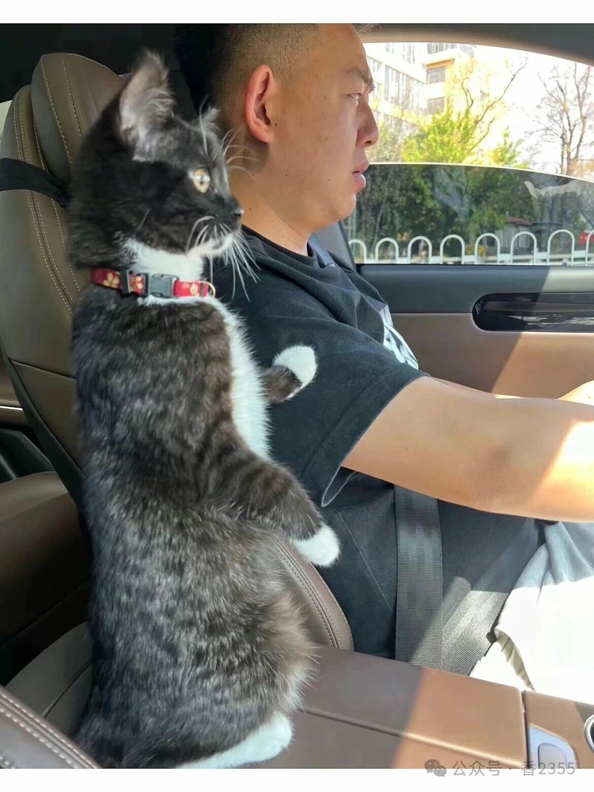 粑粑，你开车要看好路