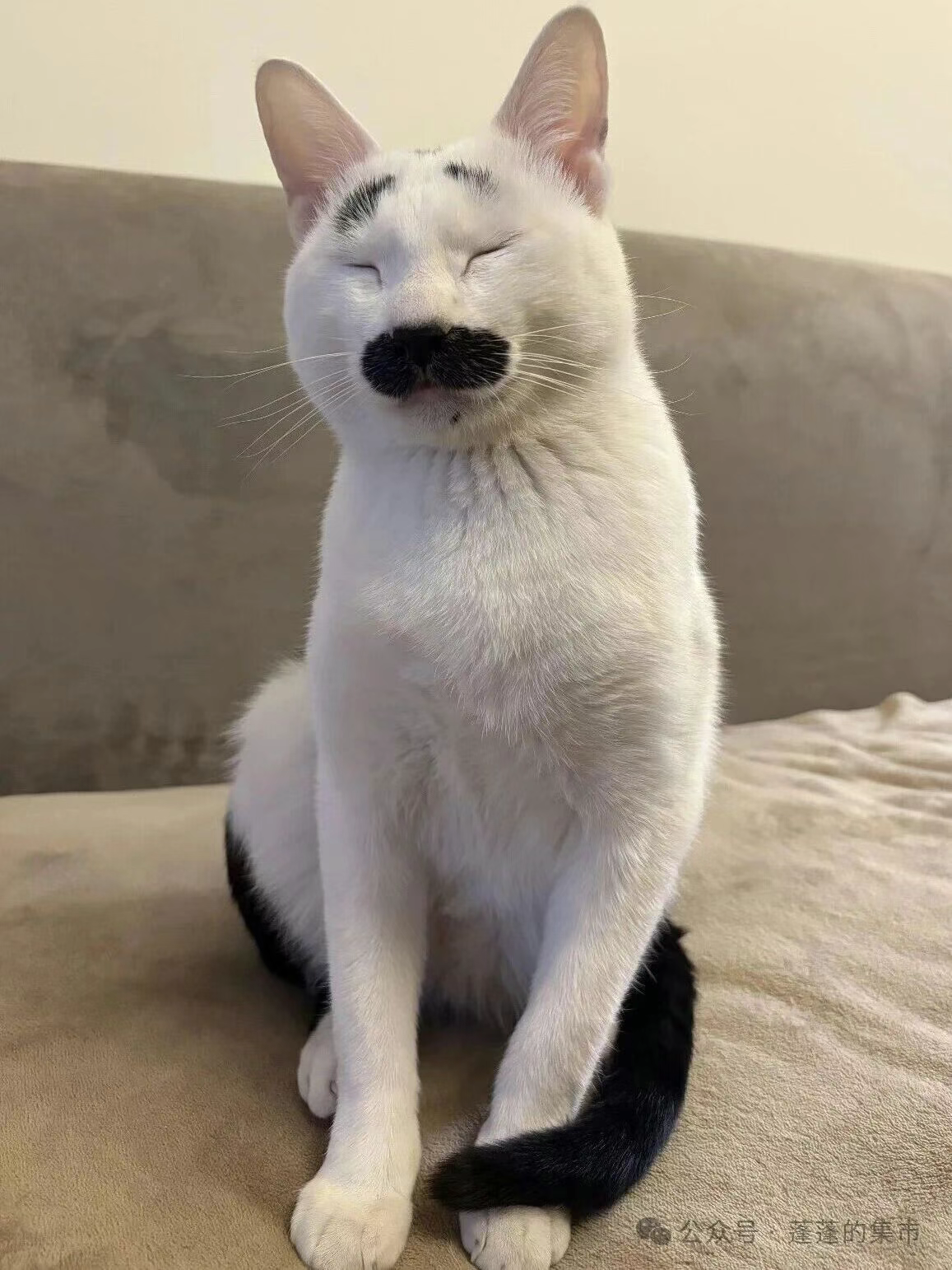 别说话，吻在我的嘴巴上！