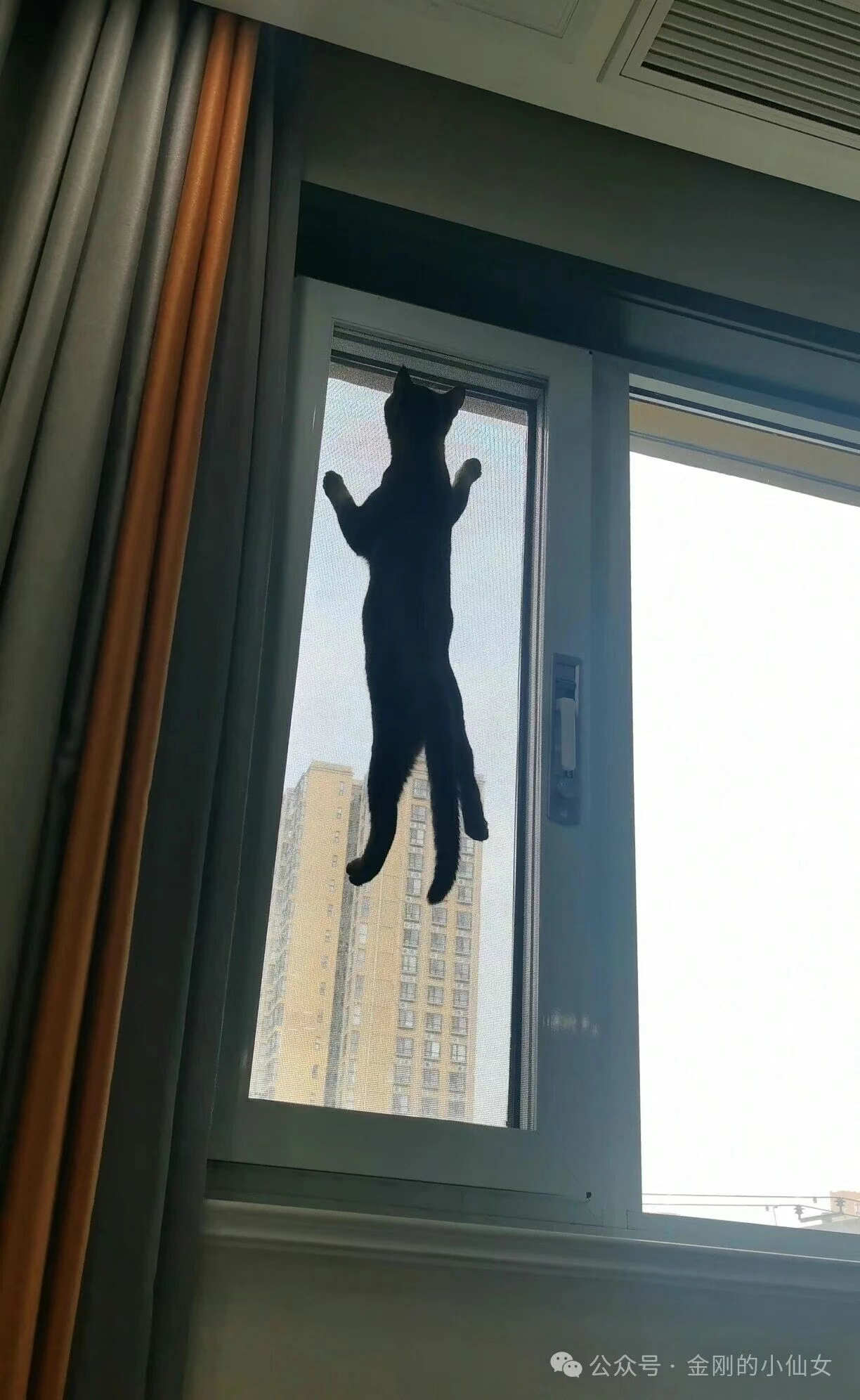 我家孩子会的可真多