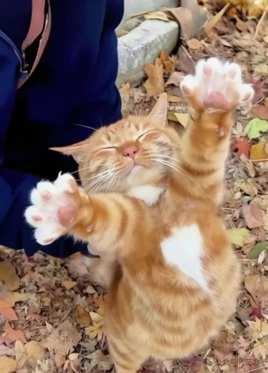 关关难过关关过 我活过来了！！！