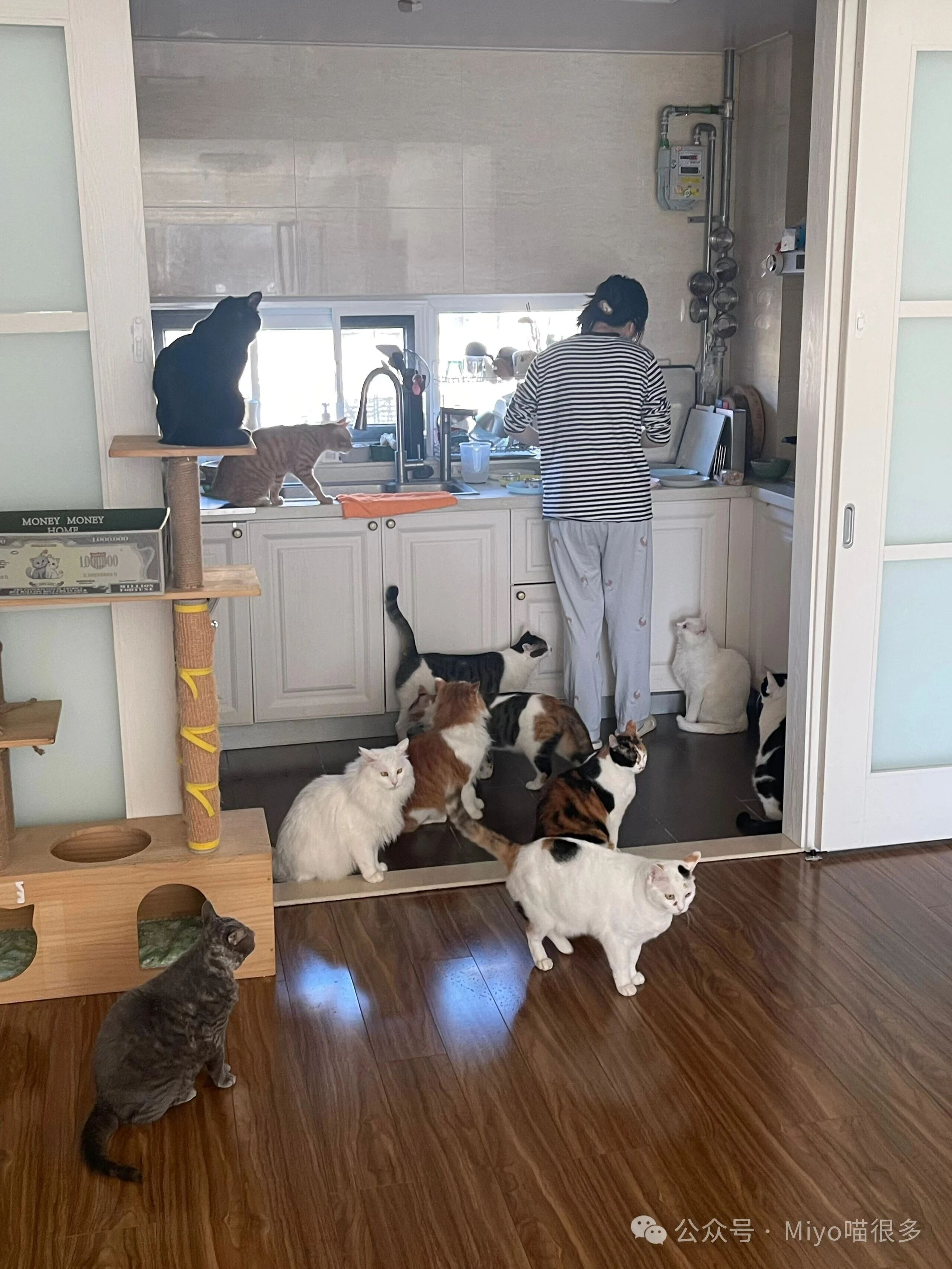 老公说这是他拍到的最美好的画面🥰看着就好幸福！