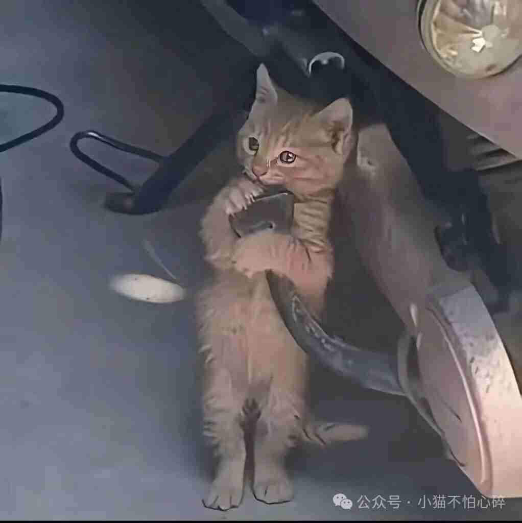 那天骑摩托摔进了沟里