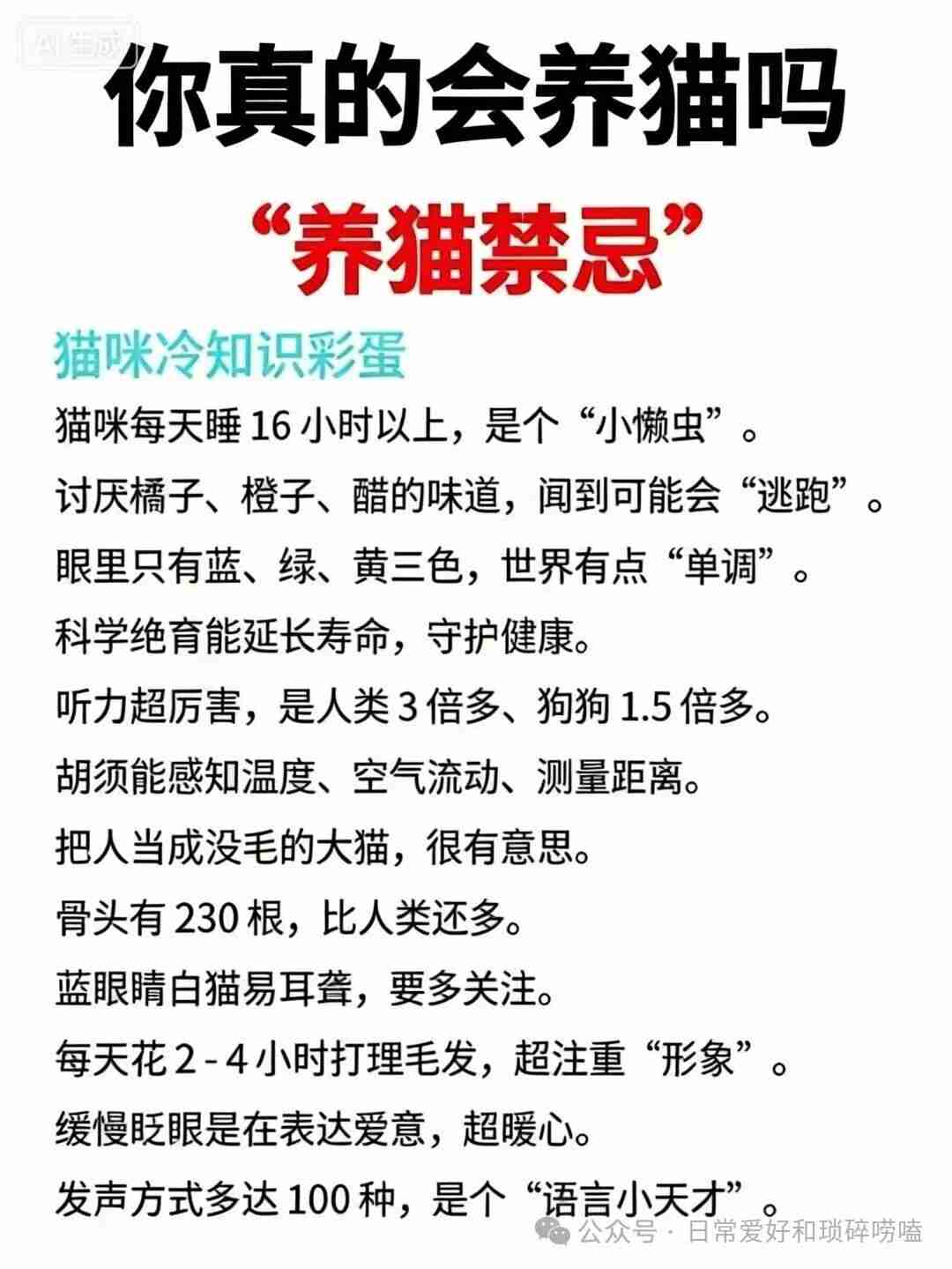 你真的会养猫吗