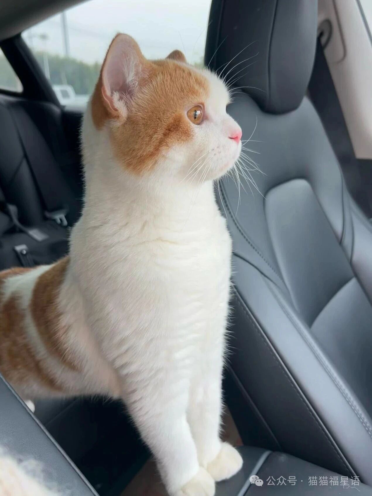 不知道，反正我被帅晕了！！！好有少年感好可爱啊啊啊