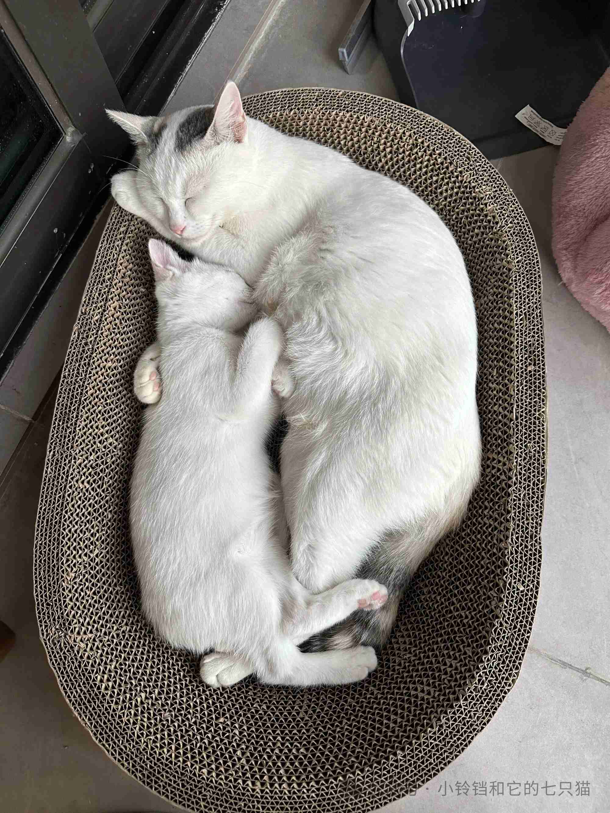 难得的母子时光