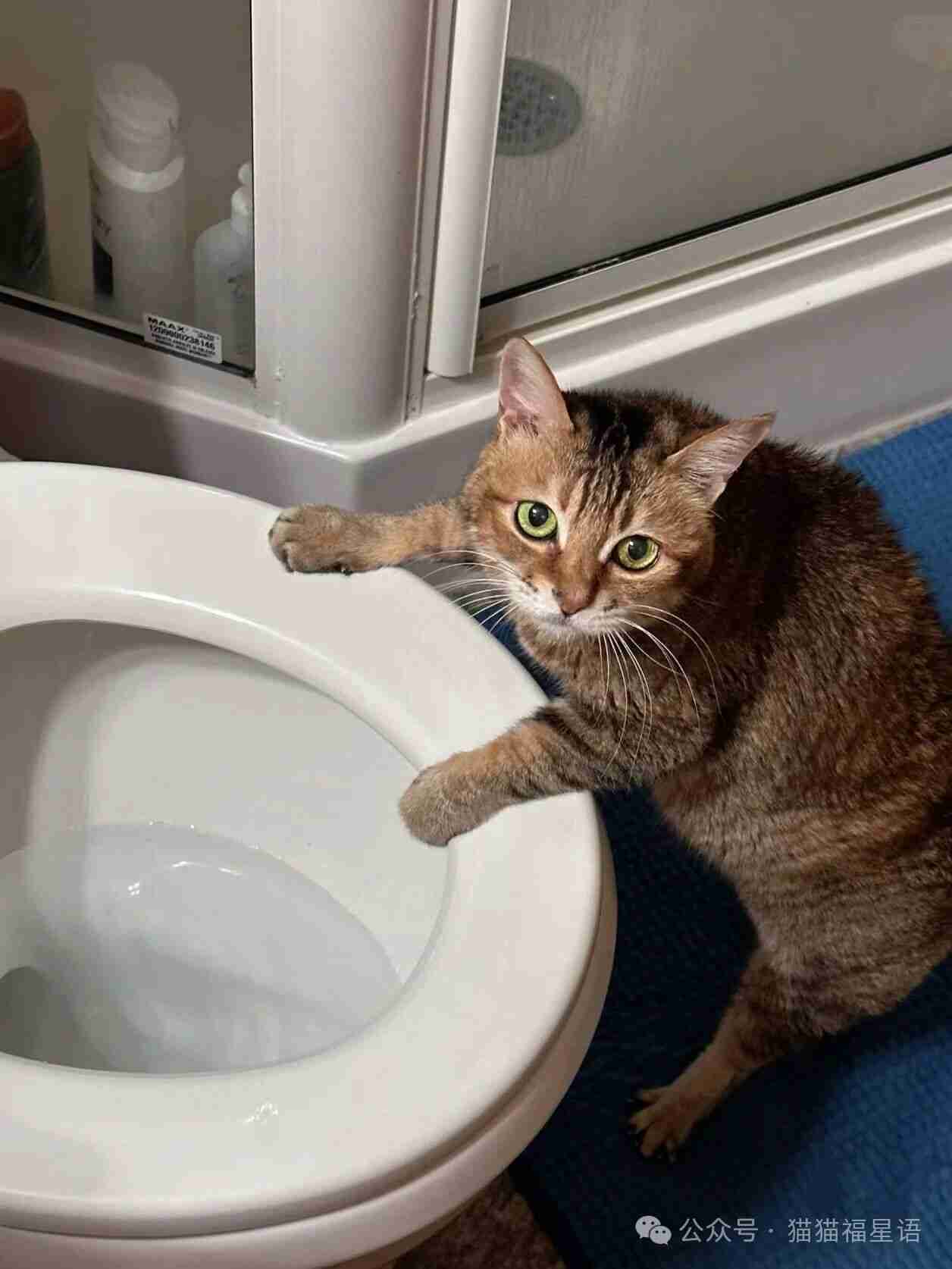 它生气了但不说！让妈猜