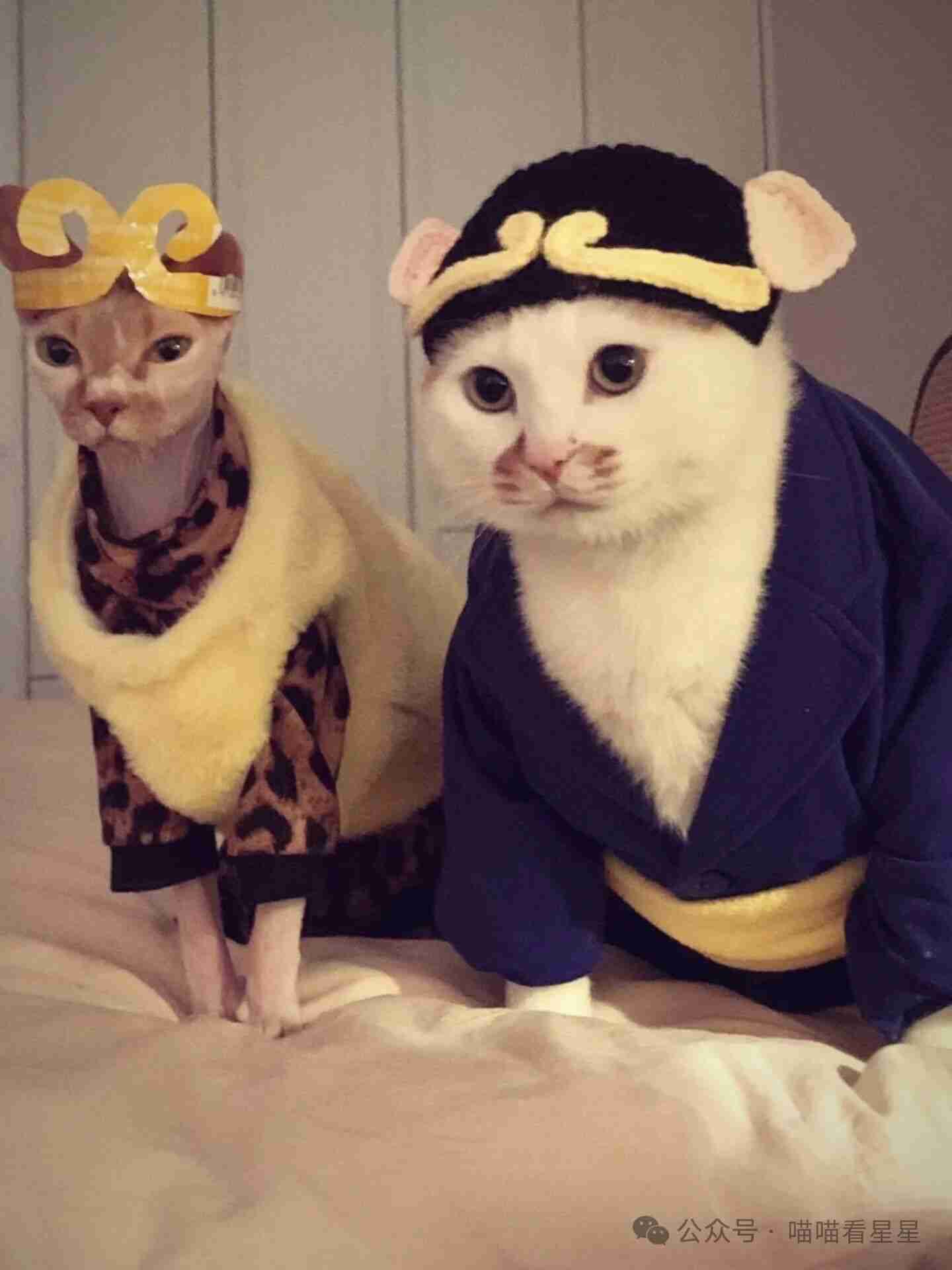 马上就要取经了，还缺一个师傅。