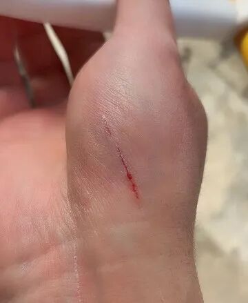 《养猫劝退指南》——养猫十几年，我想说没做好这几点准备，请别开始。