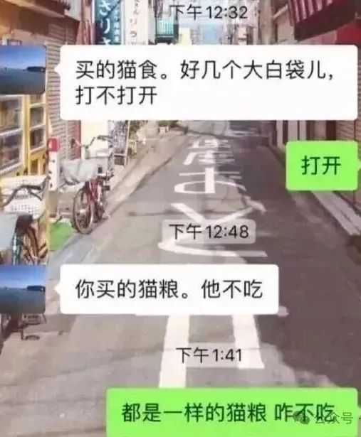 姥爷发消息急告：“你的猫太挑食了，猫粮都不吃！”，网友一看照片笑喷：换我我也不吃...