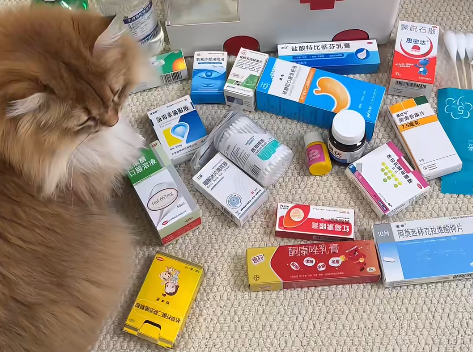 宠物医生打死都不会说的10个平替药