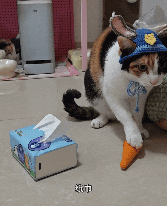 18亿播放杀疯了！这只“蒙题猫”，把打工摸鱼演到了骨子里