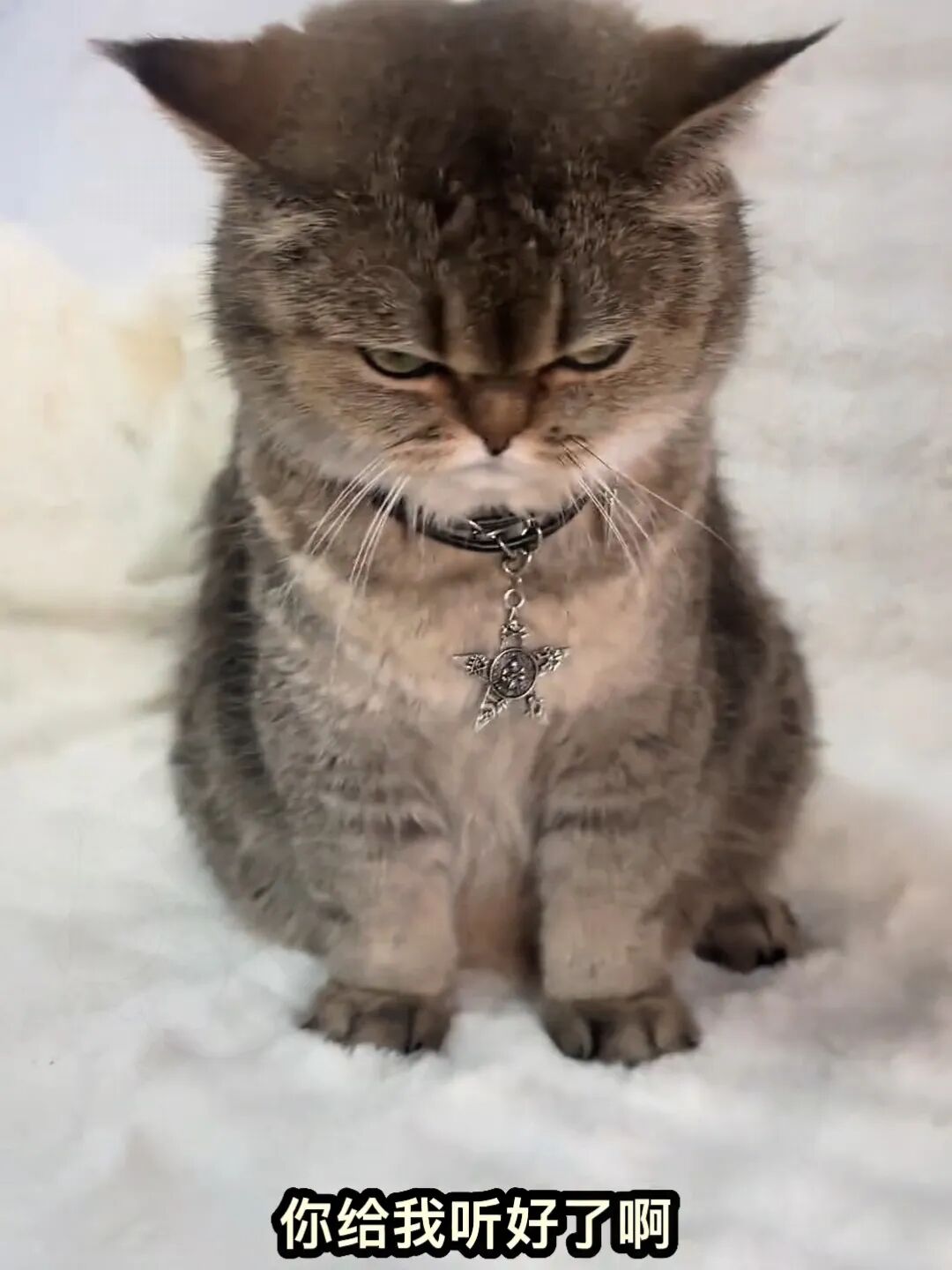 一脸的不服，暗骂一声: 狗官 …