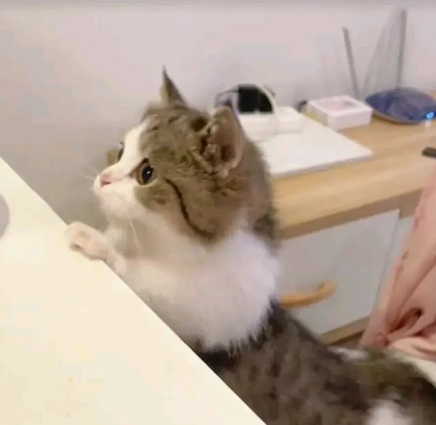 网友：“孩子一急”，都会立正了！