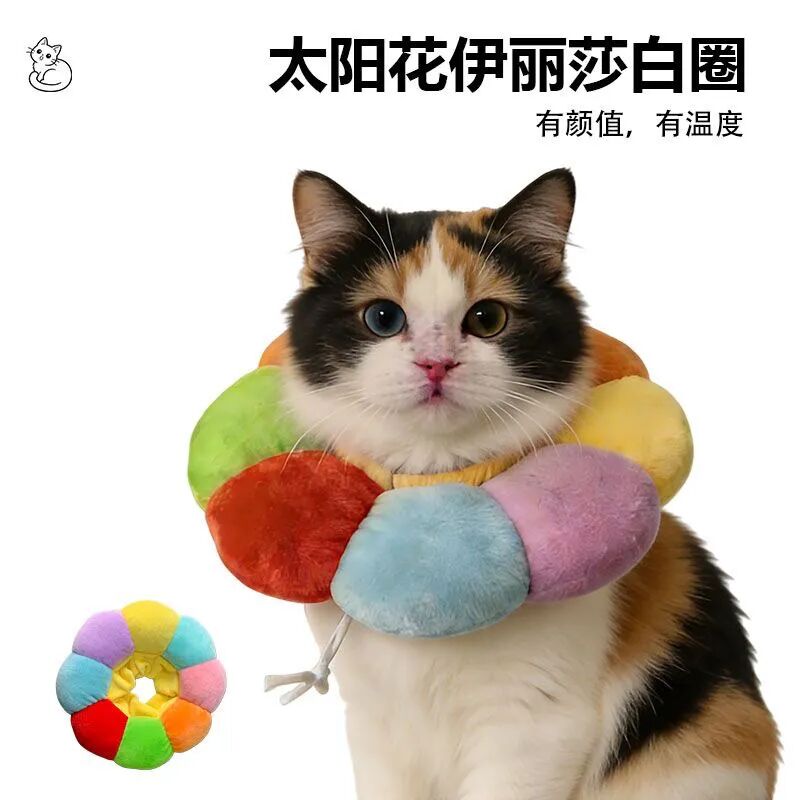 会不会有猫咪绝育后饿死的？猫咪绝育后带头套没办法吃粮和喝水