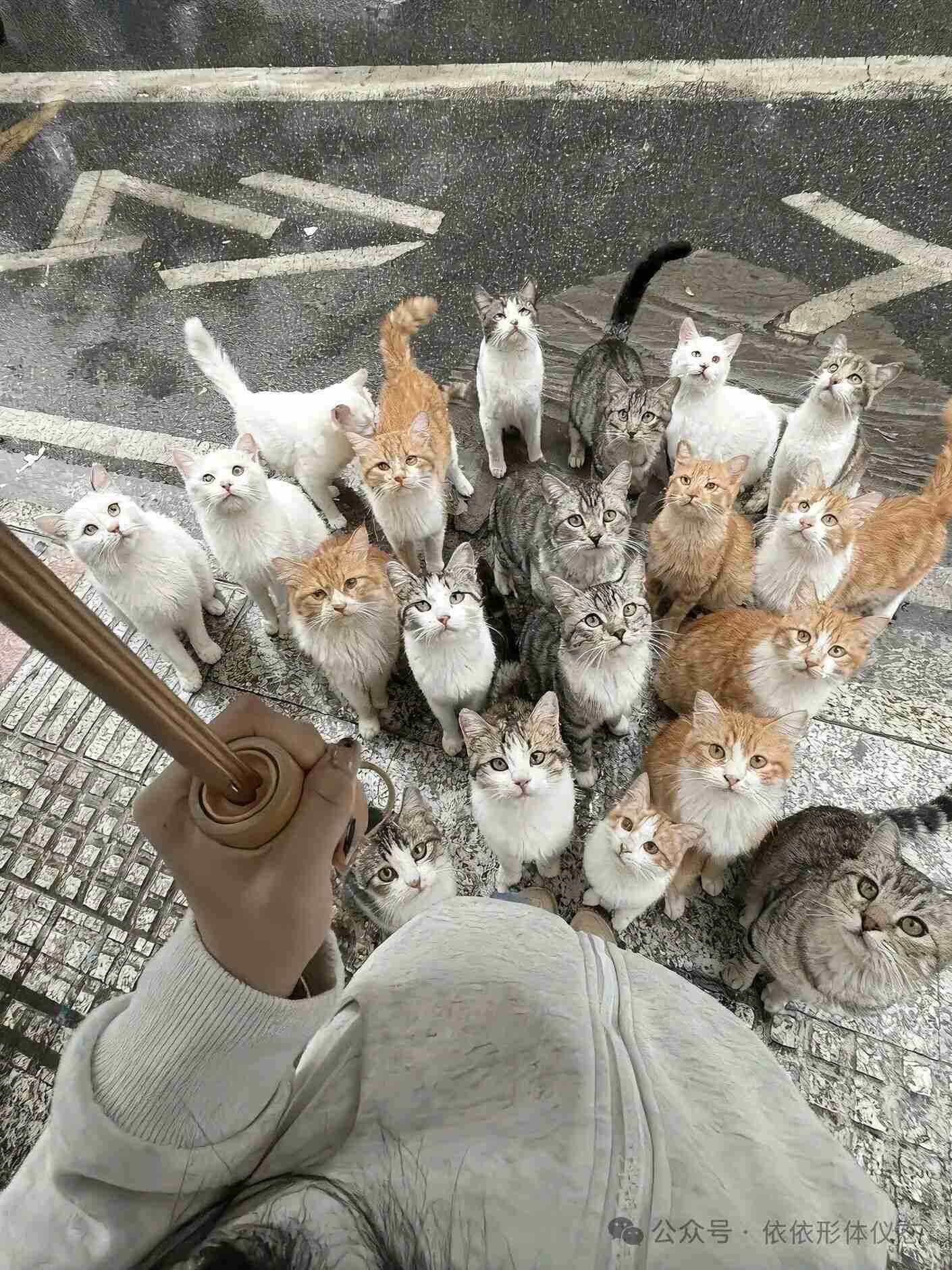 这也太治愈了吧