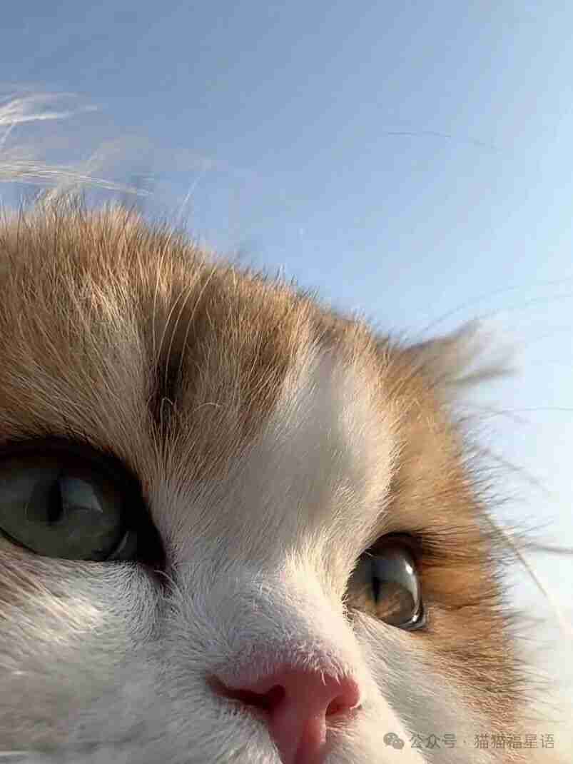 就这一眼，我直接缴械投降了！