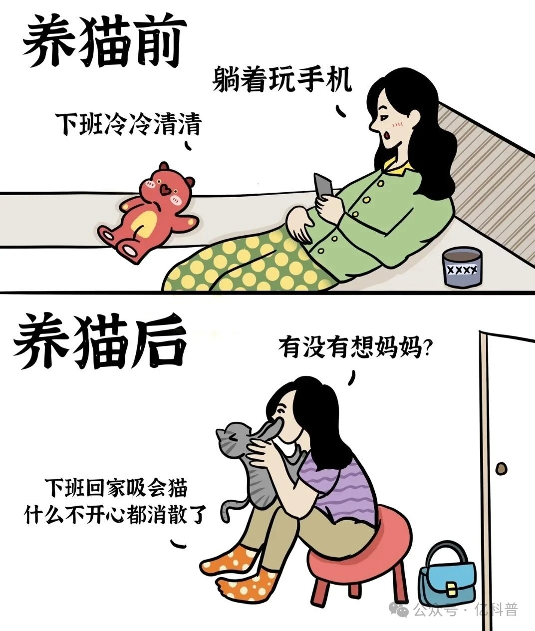 养猫让我体验到最单纯的爱，哭死