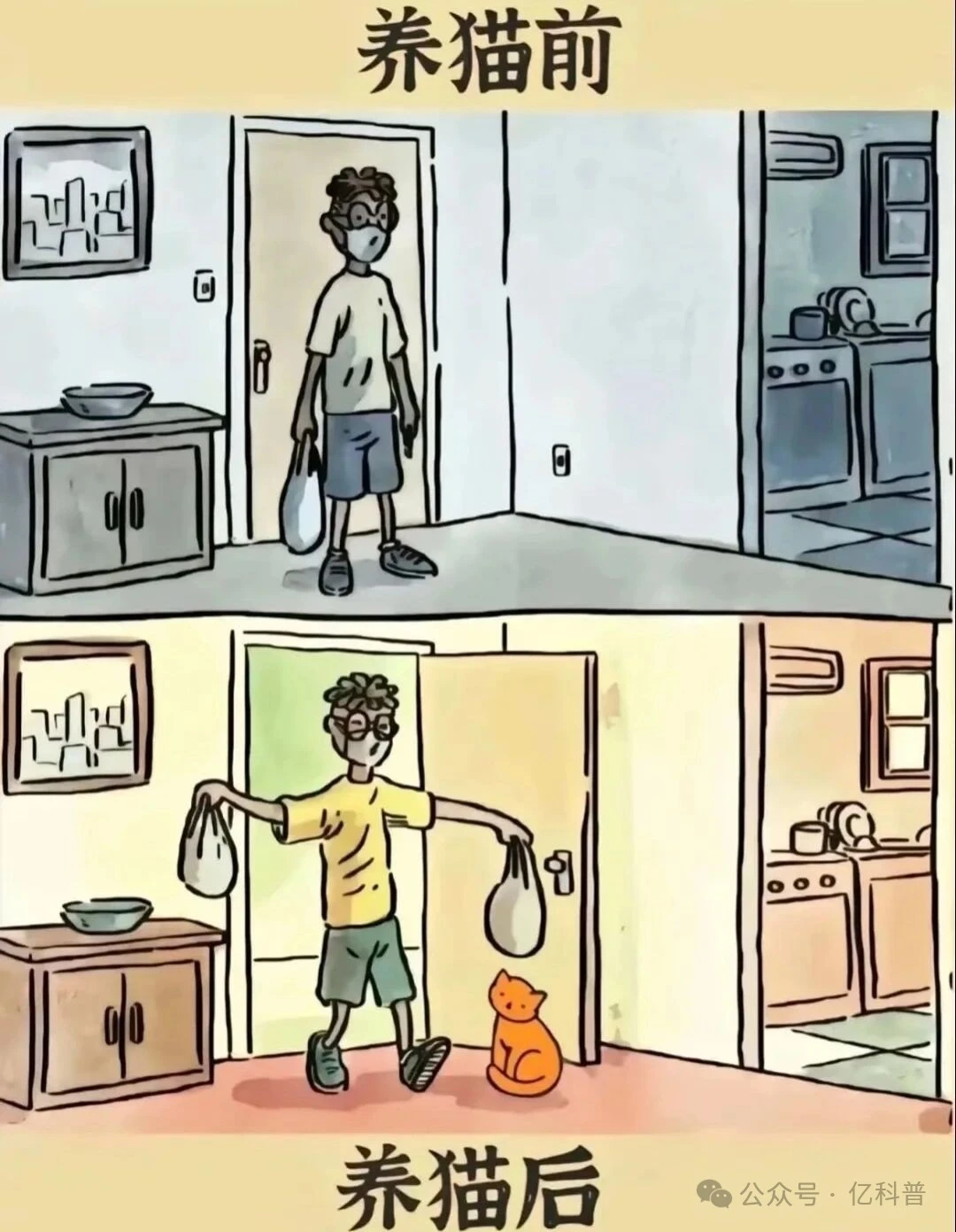 养猫前vs养猫后，变化有多大？