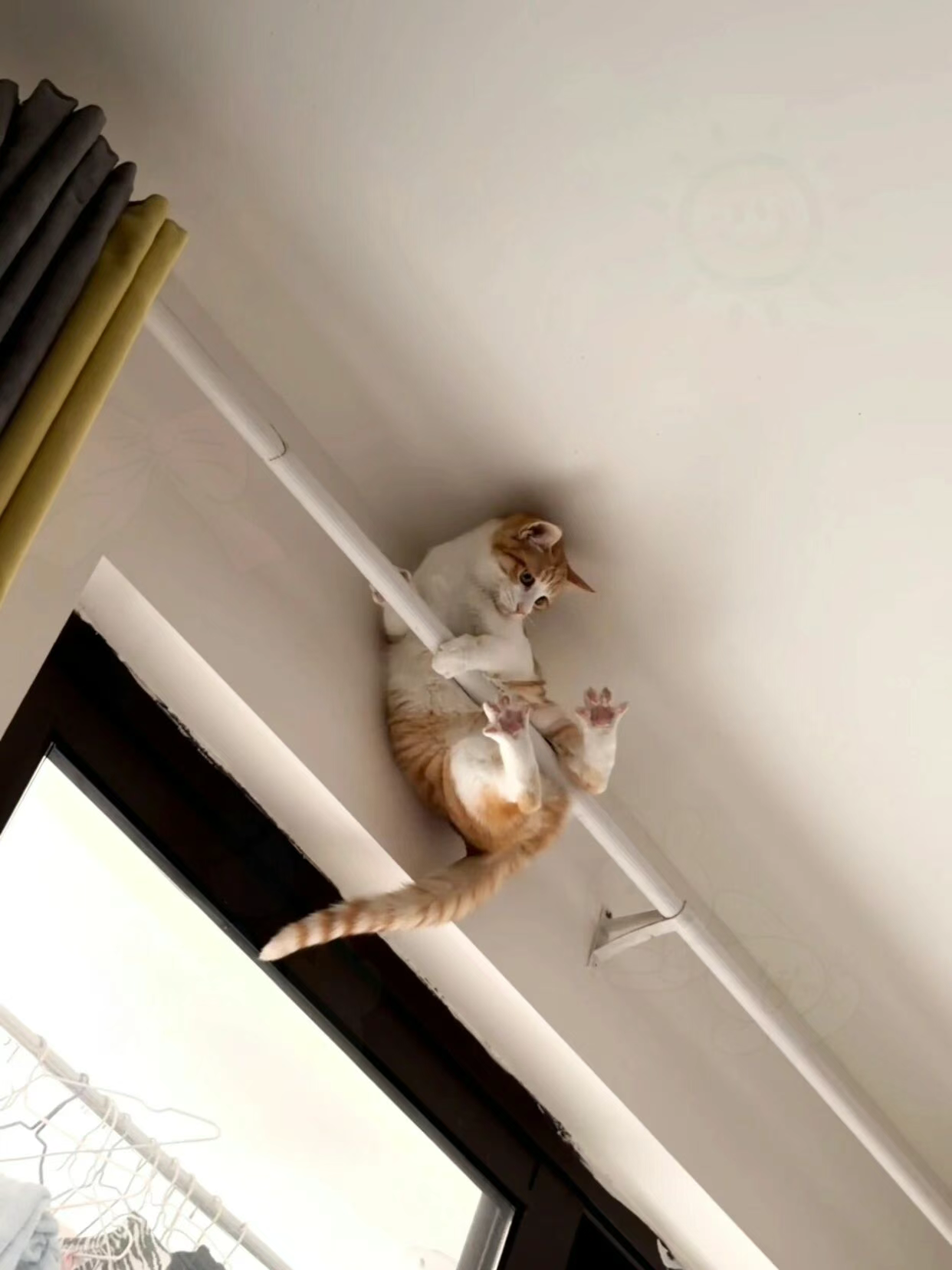 我勒个乖乖！它这是要干啥？