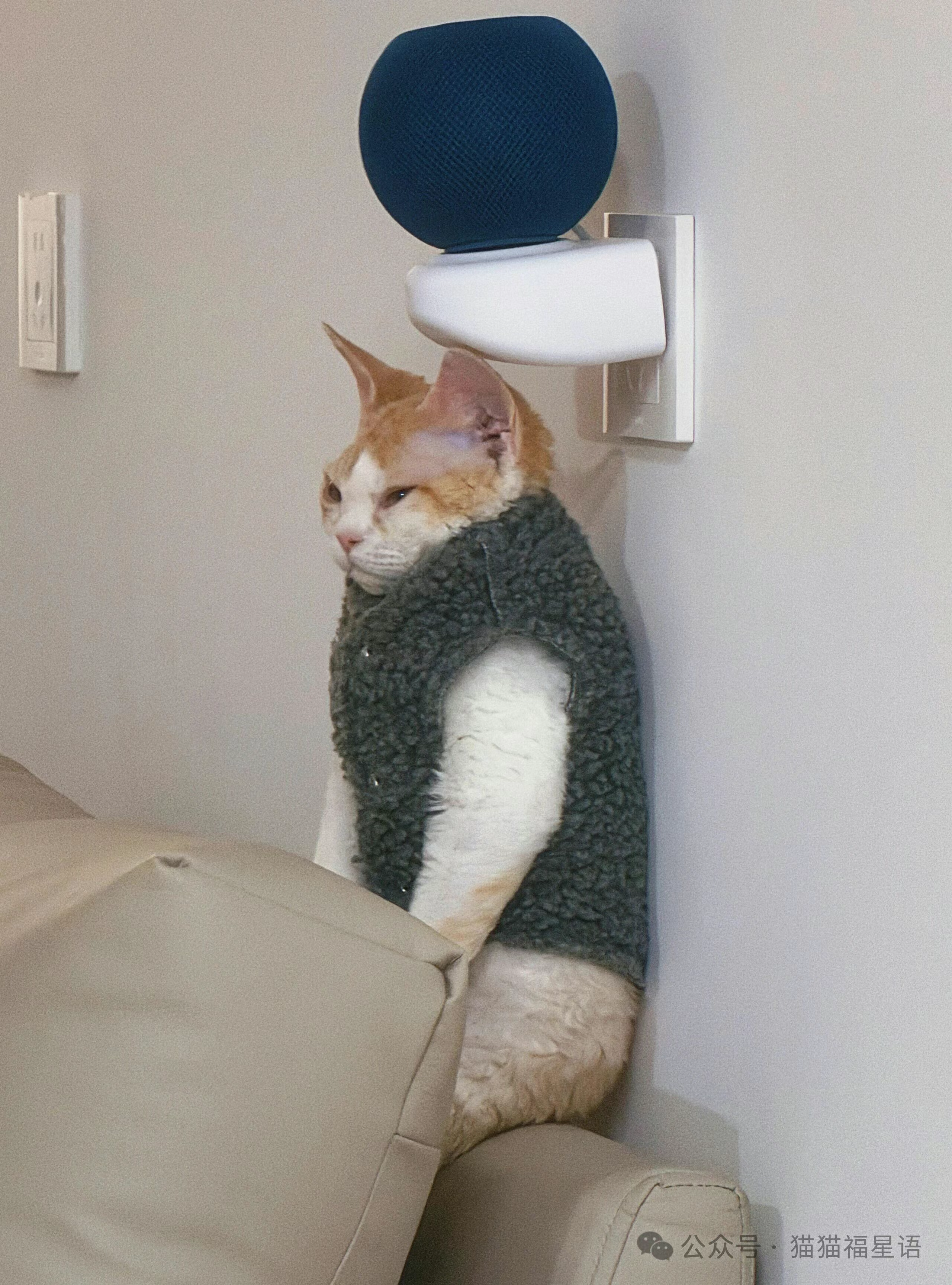 每次闯祸挨骂都是这副样子