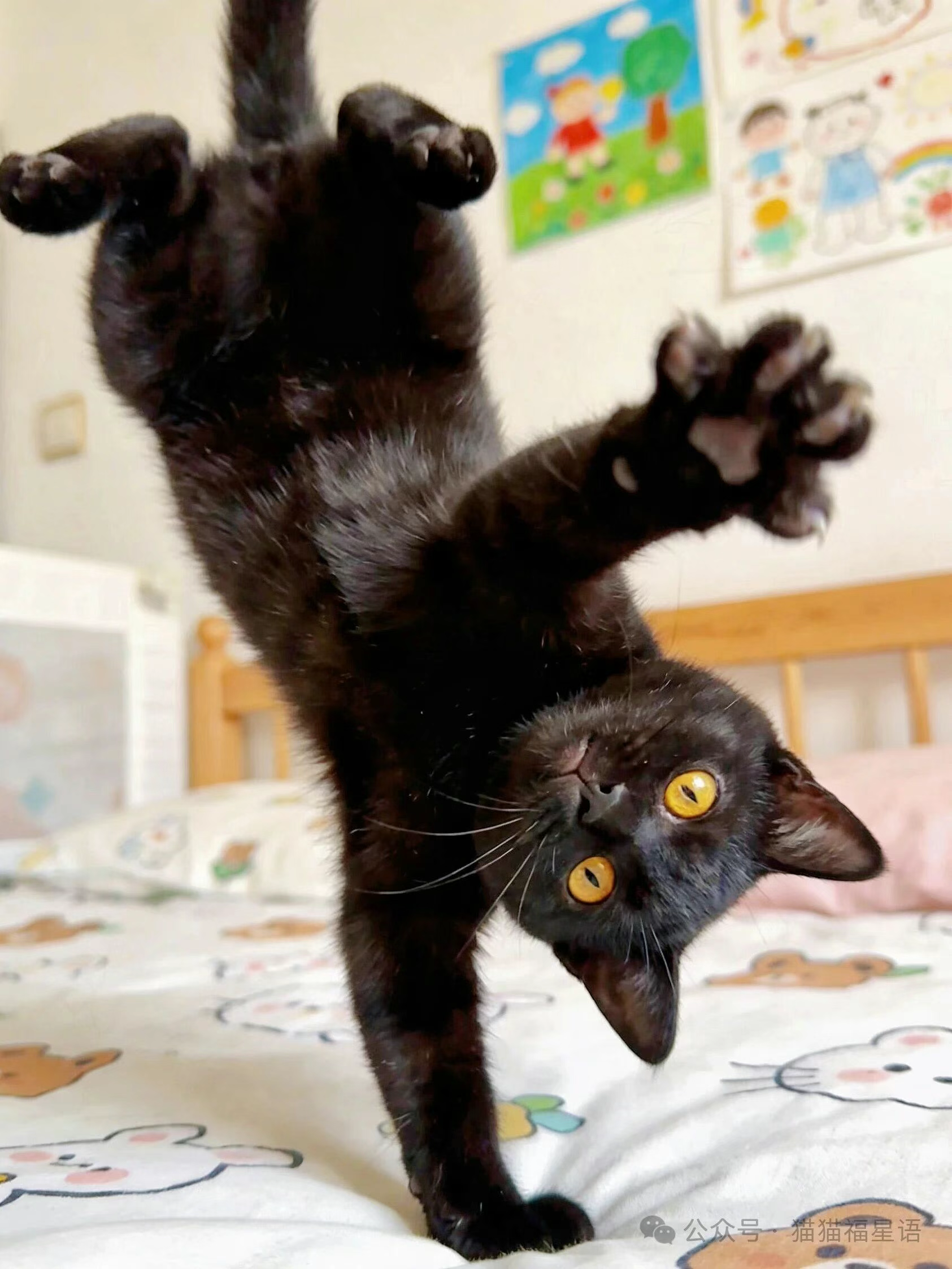 麻麻，真的允许我上床啦？