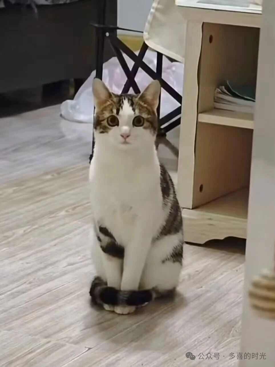 好标准、好端庄、好有礼貌的坐姿呀，哈哈哈哈～