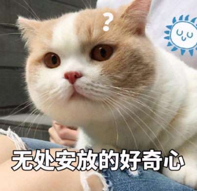 女生假装和妈妈打架，想看看老猫会不会劝和，结果…你这孩子咋还拉偏架呢？！