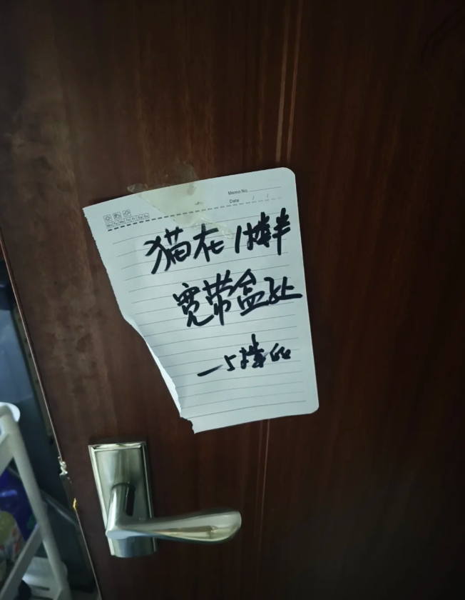 门上被邻居贴了纸条，主人看完后天塌了：不是，小猫这么牛的吗？