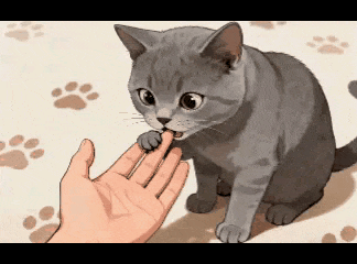 猫总是“轻咬你”？其实它是在传递这7个信号