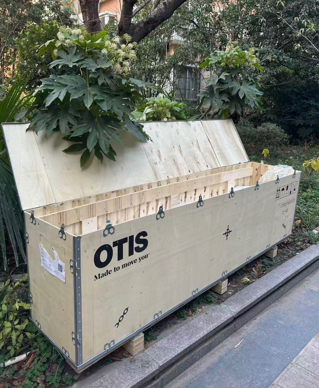 电梯包装箱爆改流浪猫窝，废物利用还能帮助小生命，太有爱了