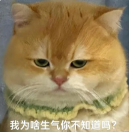 猫咪最讨厌的6个动作！很多人天天做，难怪你家猫不亲你！