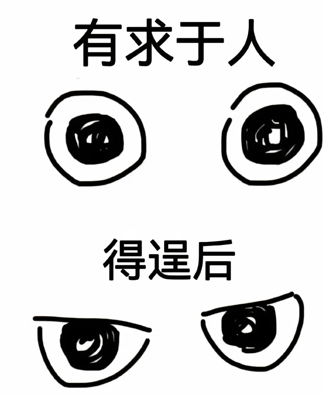 狸花猫故意踩孩子头，孩子反手就是两巴掌，狸花猫一下懵了：你爸妈都没打过我！