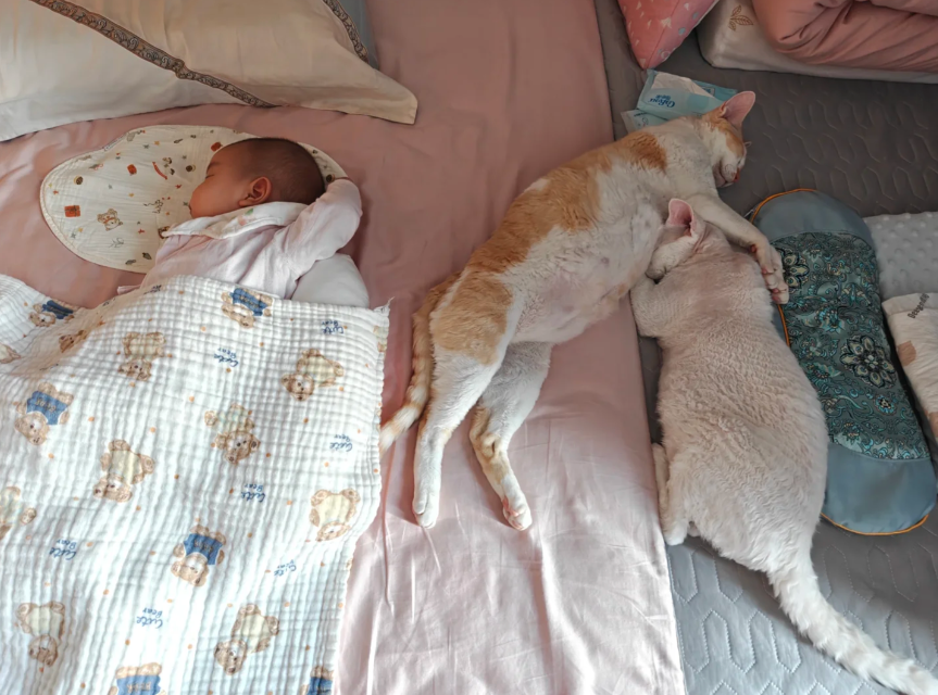 网友说家里的两个月嫂不行，不看孩子，只顾着自己睡觉