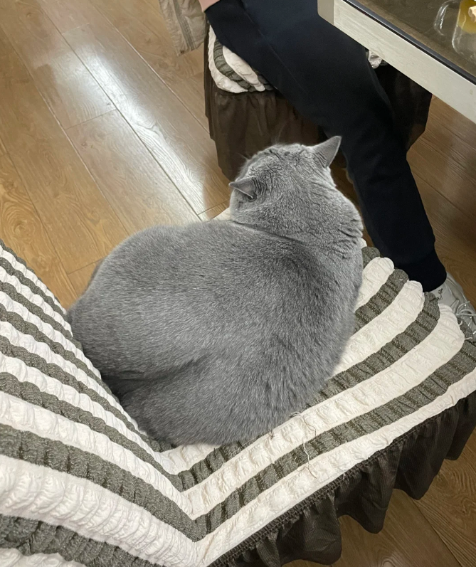 家长问“我孩子可以当臀模吗？”本以为在瞎说，结果进去一看：这真的可以当！