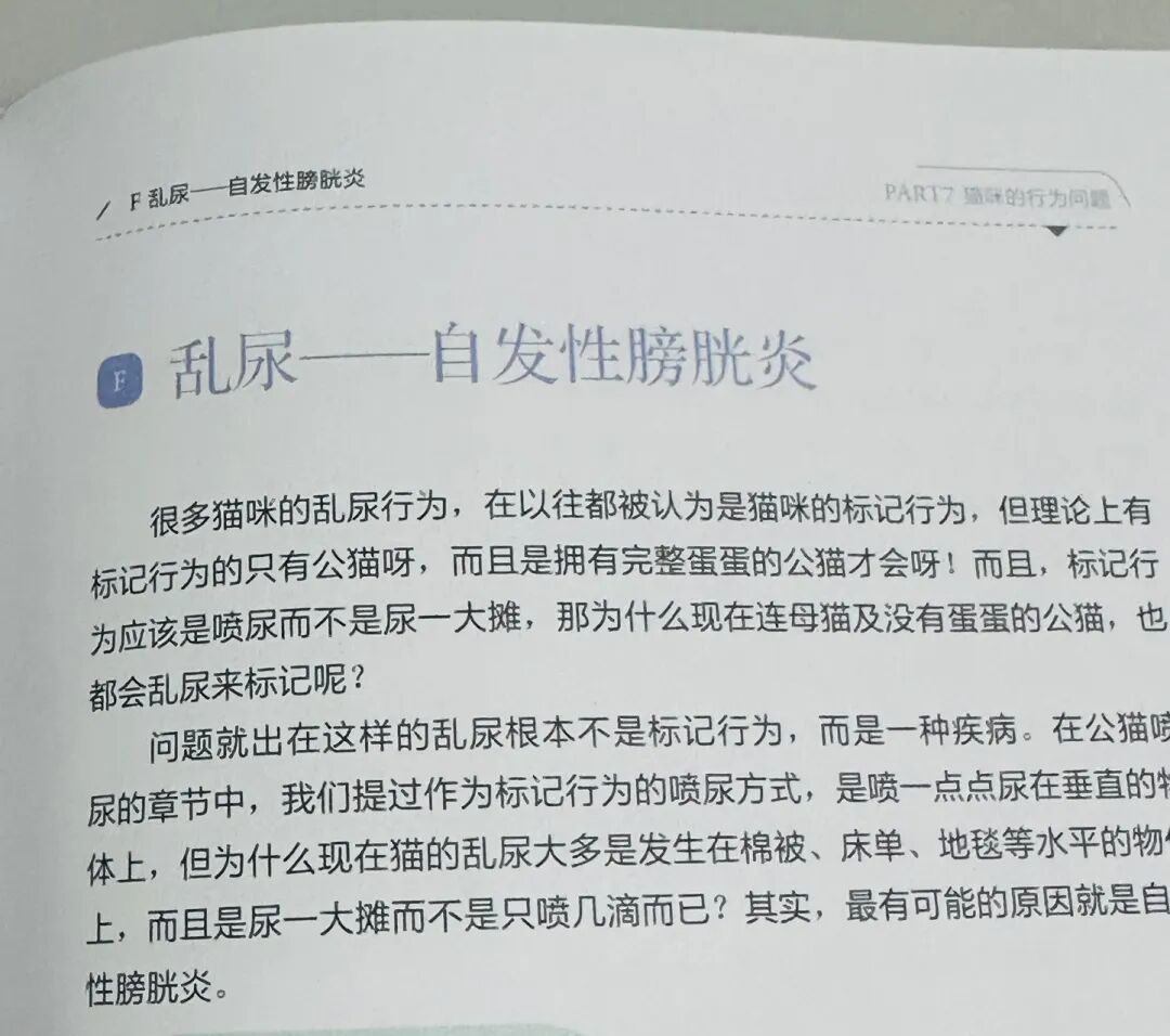 和人一样，猫咪也怕压力，松弛才是健康的底色