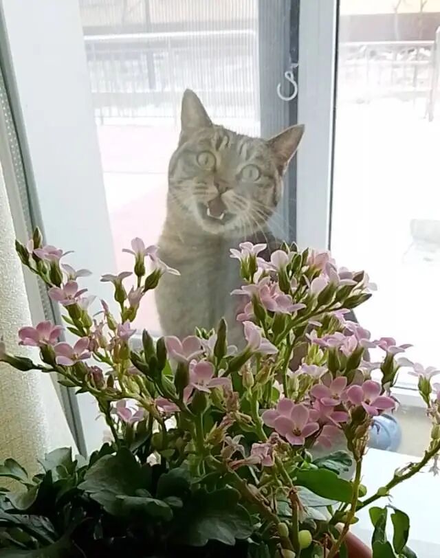 给情绪找个出口轻轻放掉