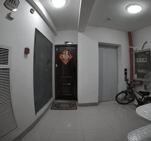 网友猫咪失踪了15个小时之后，竟然半夜自己找回家按门铃，铲屎官开门瞬间泪崩！这小脑袋是装了导航吗？