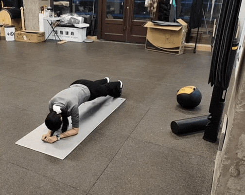 我健身失败的原因找到了：家里养了猫！