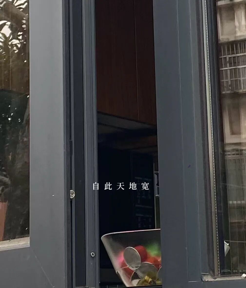 放着好日子不过的猫！饿3天回来了！