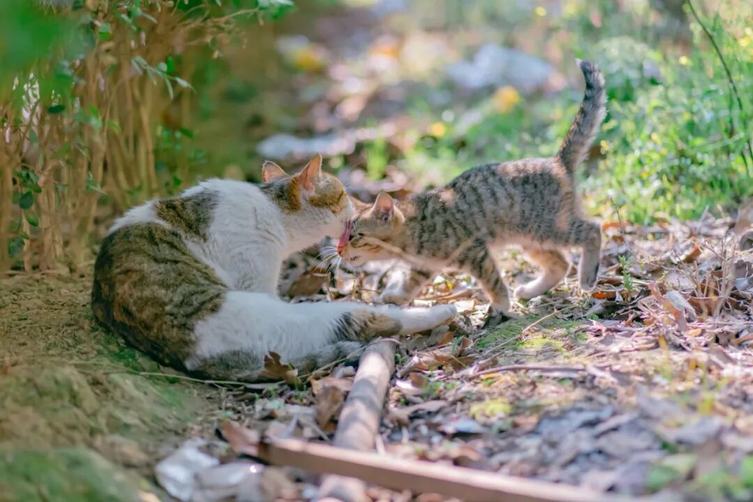 妈，好了啦！已经洗过好几遍啦