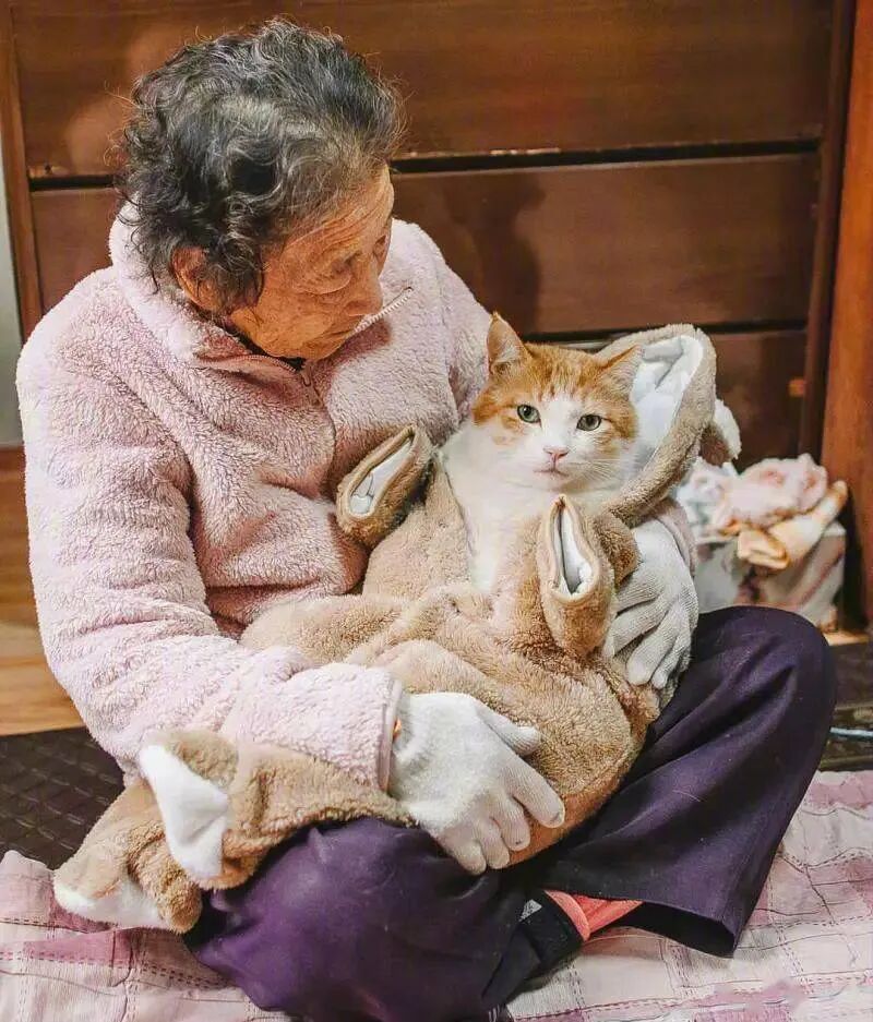 老年痴呆的奶奶，把猫喂到32斤，刚吃饱又喂：虽然我不记得你，但你要吃饱饭...