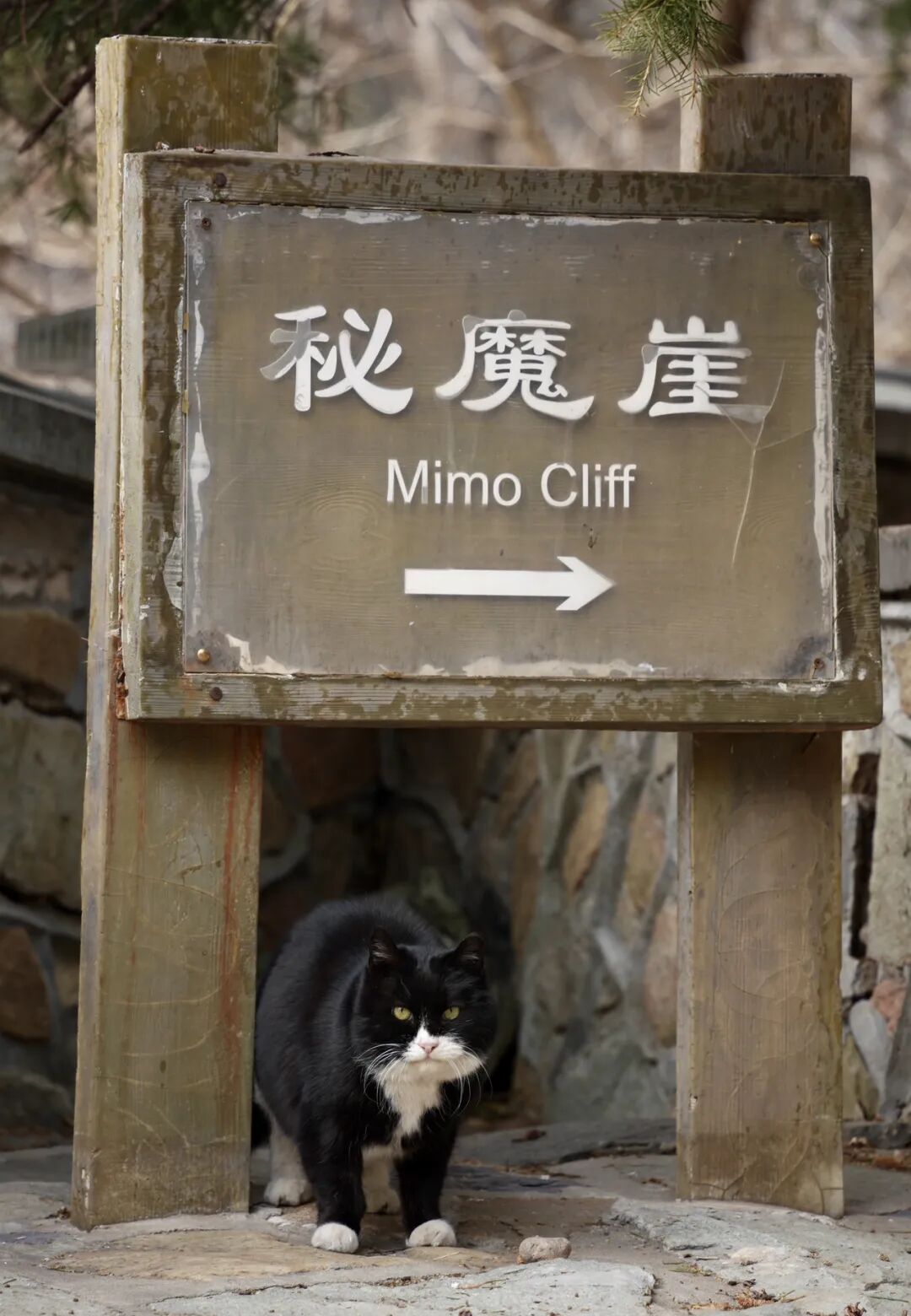 证果寺：禅寺里的“引路僧”