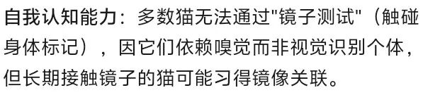 捉弄猫仔，抱着它照镜子